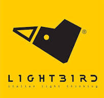 نماینده رسمی فریم های دست ساز  لایت برد (LightBird) در ایران